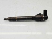 Injector  Mercedes Sprinter 3.5-t (906) [Fabr 2006-2013] A6460700287 2.2 CDI 646983 65KW / 88CP
