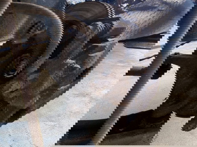 Fuzeta fata stanga Suzuki Swift 3 M-Hybrid [Fabr 2016-2024] 1.2 hibrid K12D 61KW / 83CP