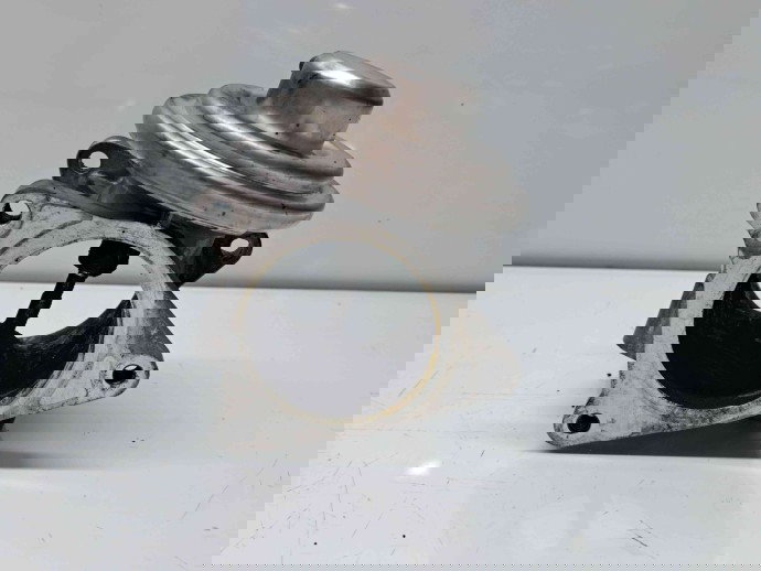 Supapa EGR Volkswagen Jetta 3  (1K2) [Fabr 2005-2010] 319217019 1.9 TDI BXE 77KW / 105CP