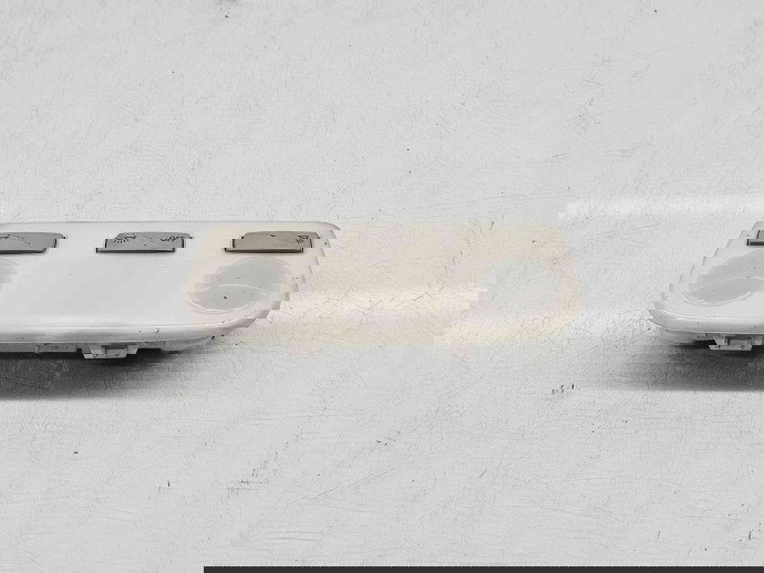  Plafoniera fata Renault Fluence [Fabr 2010-prezent] OEM