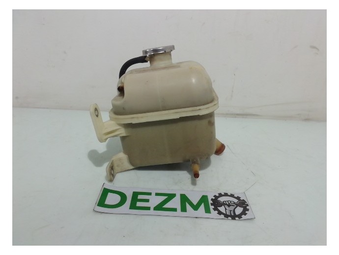 Vas expansiune Hyundai Tucson 2.0 HJ55 25432E100 2004-2010