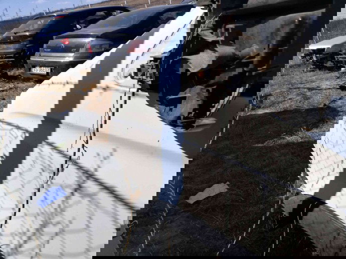 Aripa stanga fata OEM Iveco Daily 2.3 HPI 2011-2014