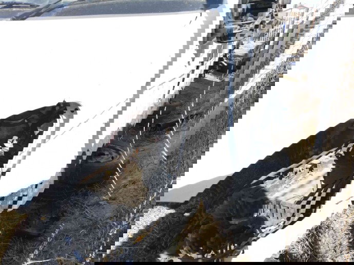 Aripa stanga fata OEM Iveco Daily 2.3 HPI 2011-2014