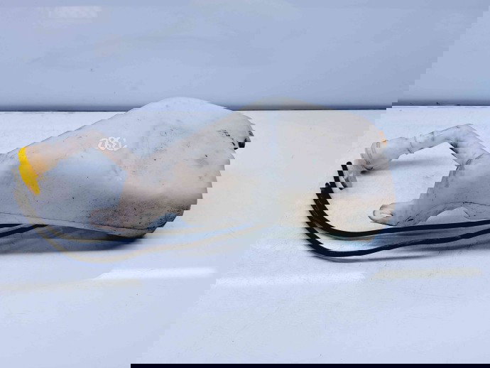  Vas lichid parbriz Renault Megane 3 (B95) [Fabr 2008-2016] 289100033R