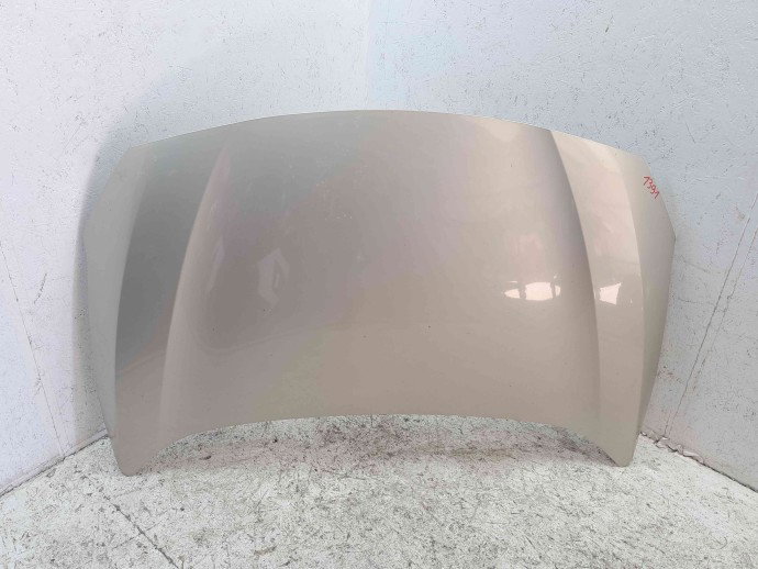 Capota motor Renault Fluence [Fabr 2010-prezent] TED11