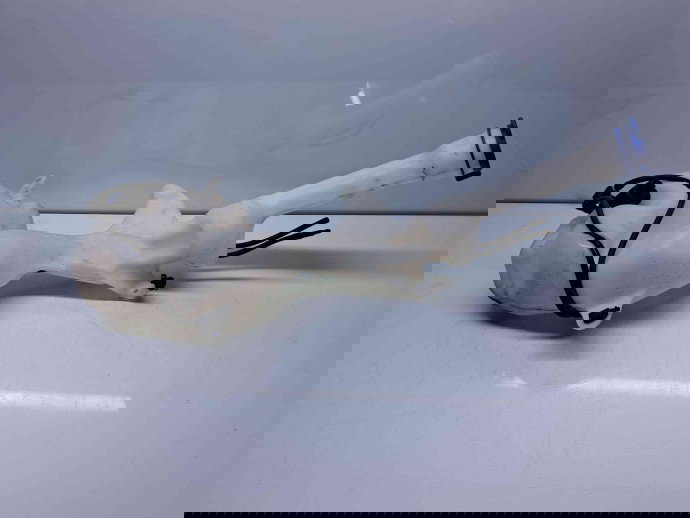  Vas lichid parbriz Ford Ecosport [Fabr 2017-2024] GN15178613FB