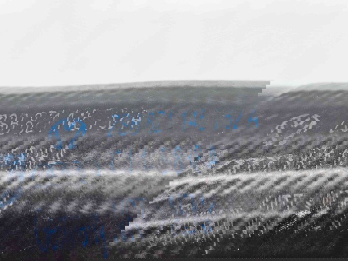 Tub intercooler Audi A2 (8Z0) [Fabr 2000-2005] 8Z1145752A 1.4 TDI ATL 66KW / 90CP