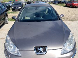 Capota motor PEUGEOT 407 [Fabr 2004-2010] 2.0 HDI RHR 100 KW / 136 CP