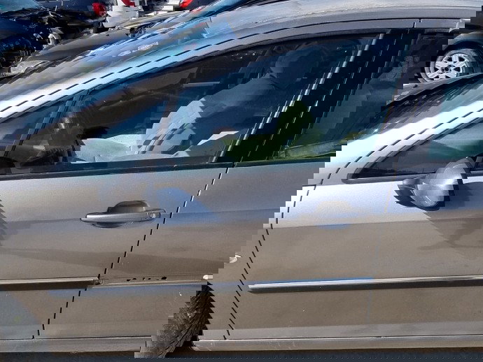 Usa stanga fata PEUGEOT 407 [Fabr 2004-2010] 2.0 HDI RHR 100 KW / 136 CP