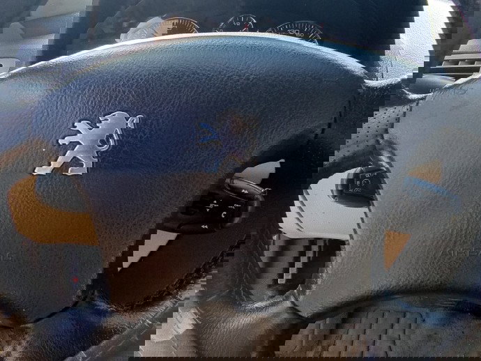 Airbag volan PEUGEOT 407 [Fabr 2004-2010] 2.0 HDI RHR 100 KW / 136 CP