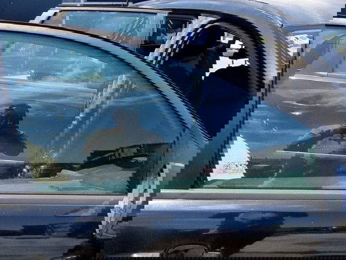 Geam usa dreapta fata Ford Focus 2 (DA) [Fabr 2004-2012] 1.6 TDCI HHDA   66KW / 90CP