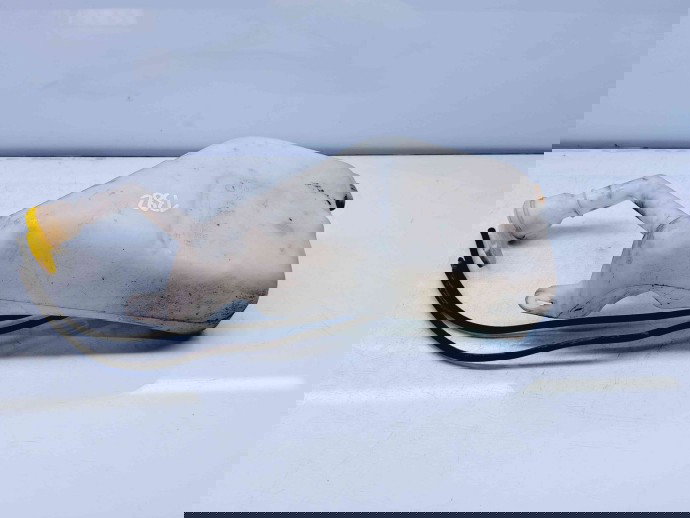  Vas lichid parbriz  Renault Scenic 3 [Fabr 2009-2015] 289100033R