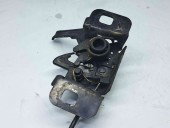 Broasca capota Opel Insignia A [Fabr 2008-2016] 13309879