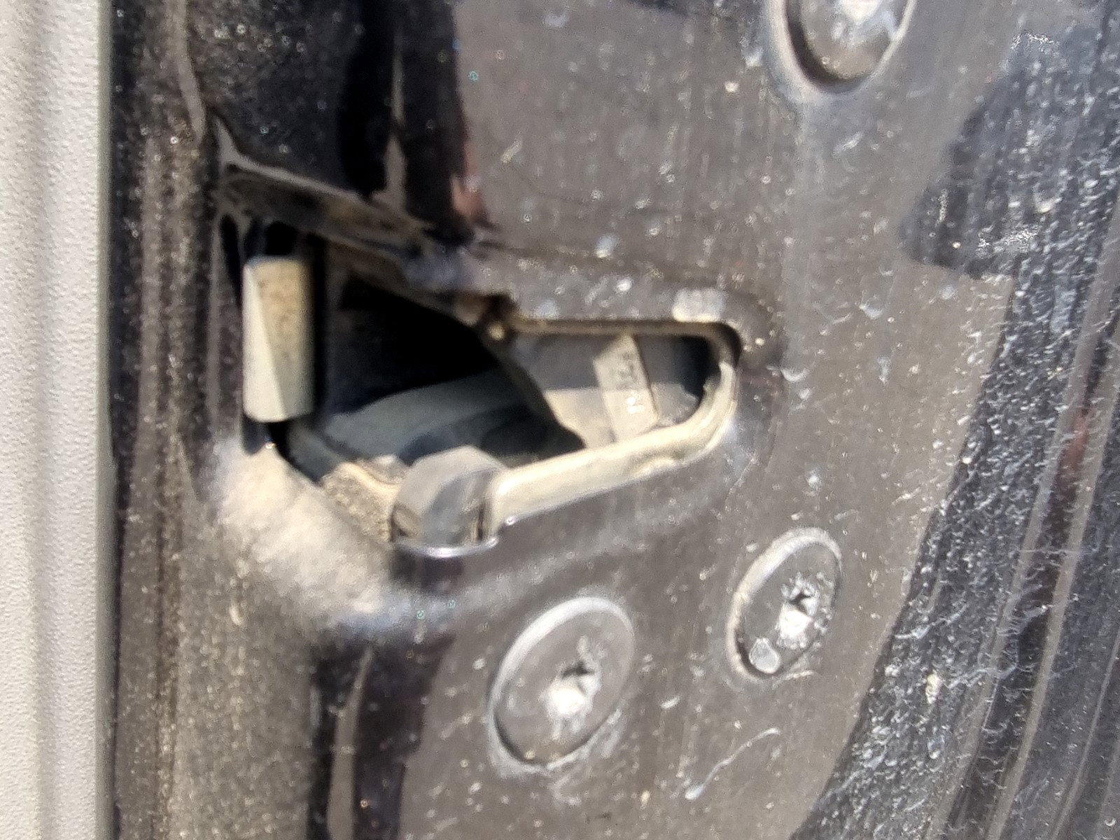 Broasca usa dreapta fata Renault Grand Scenic 2 [Fabr 2003-2008] 1.9 CDI F9Q803 96KW / 130CP