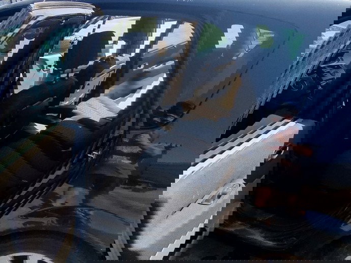 Cheder usa stanga spate Renault Grand Scenic 2 [Fabr 2003-2008] 1.9 CDI F9Q803  96KW / 130CP