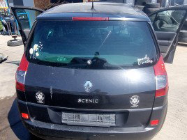 Haion Renault Grand Scenic 2 [Fabr 2003-2008] 1.9 CDI F9Q803  96KW / 130CP
