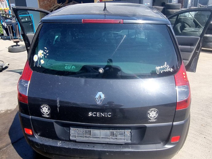 Haion Renault Grand Scenic 2 [Fabr 2003-2008] 1.9 CDI F9Q803  96KW / 130CP