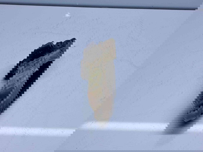 Maner usa stanga spate Hyundai i30 (FD) [Fabr 2007-2012] OEM