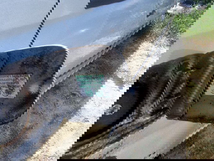 Capac rezervor Dacia Logan (LS) [Fabr 2004-2012] 1.6 B K7M-F7 64KW / 87CP