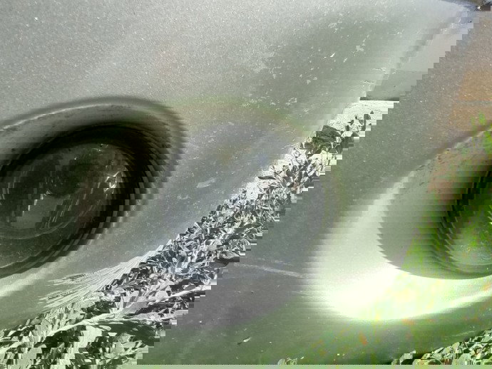 Proiector ceata stanga Dacia Logan (LS) [Fabr 2004-2012] 1.6 B K7M-F7 64KW / 87CP