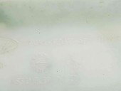  Vas lichid parbriz Ford Kuga II [Fabr 2012-prezent] CV44-17B613-AD