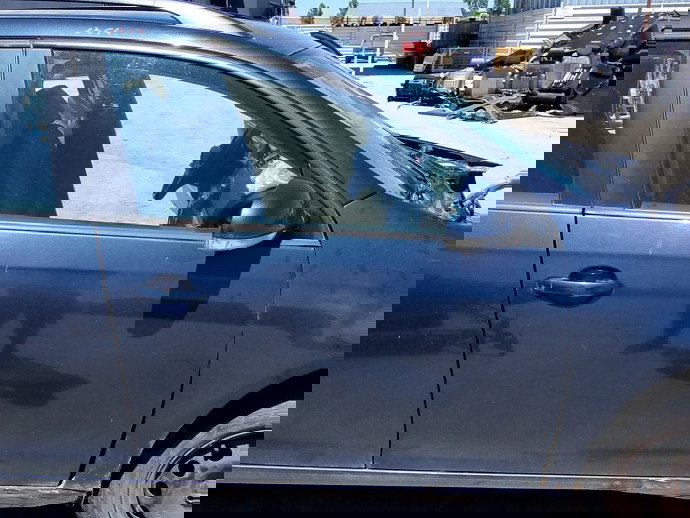 Usa dreapta fata Volkswagen Golf 5 Variant (1K5) [Fabr 2007-2009] 1.9 TDI BLS 77 KW / 105 CP