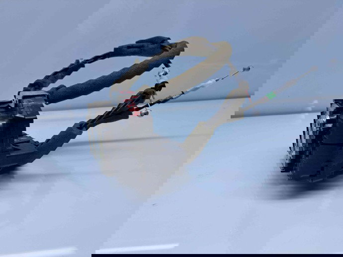 Broasca usa dreapta spate Nissan X-Trail (T32) [Fabr 2013-prezent] OEM