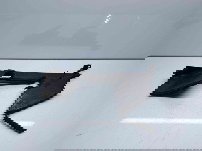 Deflector aer Nissan X-Trail (T32) [Fabr 2013-prezent] OEM