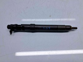 Injector  PEUGEOT Expert (II) [Fabr 2007-prezent] 9686191080 2.0 TDCI TXDA 103KW / 140CP
