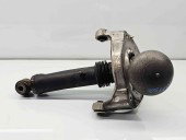 Amortizor stanga fata Citroen C5 (III) [Fabr 2008-2017] 9674996880 2.0 RH01 103KW / 140CP