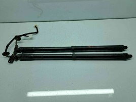 Set amortizor haion Nissan X-Trail (T32) [Fabr 2013-prezent] 905614CL1A