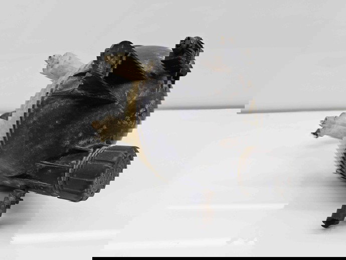 Vas expansiune Mercedes Clasa B (W245) [Fabr 2005-2011] 1695000149