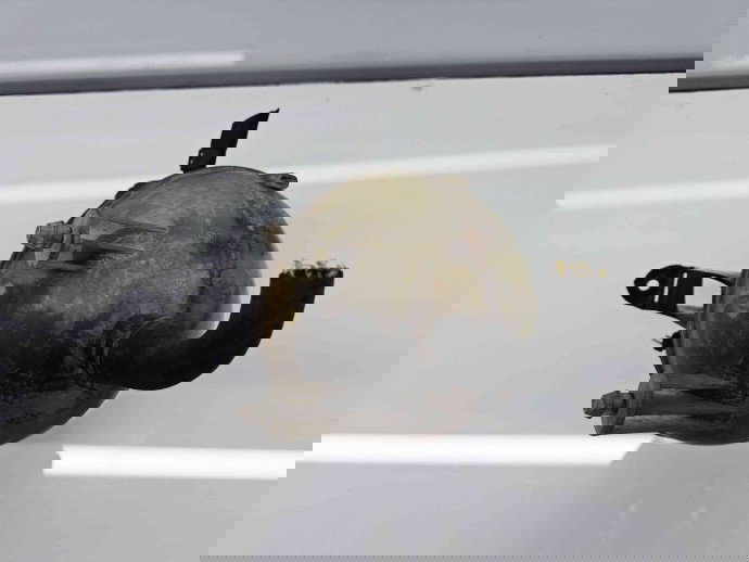 Vas expansiune Mercedes Clasa B (W245) [Fabr 2005-2011] 1695000149