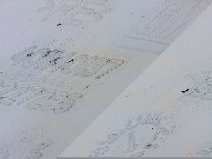  Vas lichid parbriz Opel Insignia A [Fabr 2008-2016] 13227295