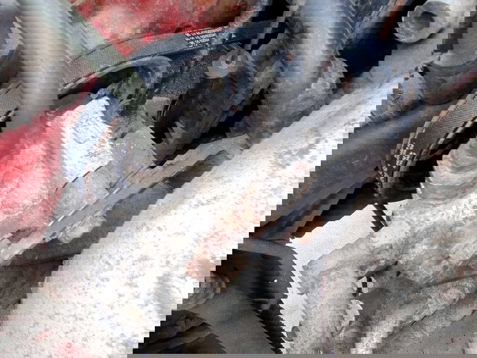 Pompa servodirectie Chevrolet Aveo (T250, T255) [Fabr 2003-2011] 1.2 Benz B12S1 53KW / 72CP