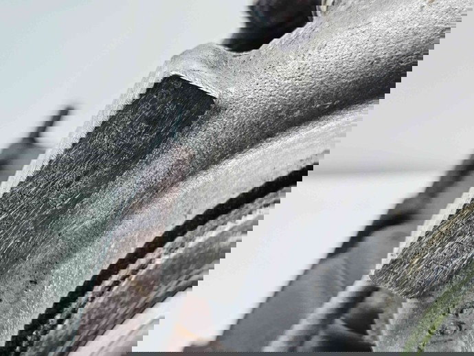 Turbina Bmw 1 (E81, E87) [Fabr 2004-2010] 7800594C 2.0 N47D 105KW / 143CP