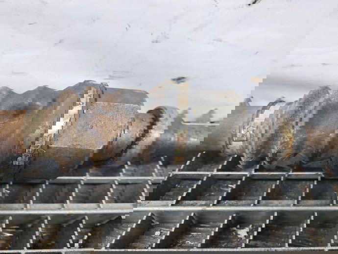 Planetara dreapta fata Peugeot 206 [Fabr 1998-2009] OEM 1.4  