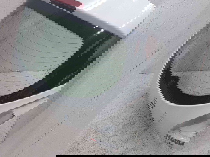 Haion Renault Megane 3 (B95) [Fabr 2008-2016] OV369