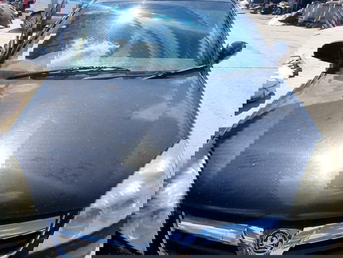 Capota motor Opel Signum [Fabr 2003-2008] 1.9 CDTI Z19DT 88KW / 120CP