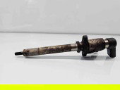 Injector  Citroen C5 (III) [Fabr 2008-2017] 9657144580 2.0 TDCI G6DG 100KW / 136CP