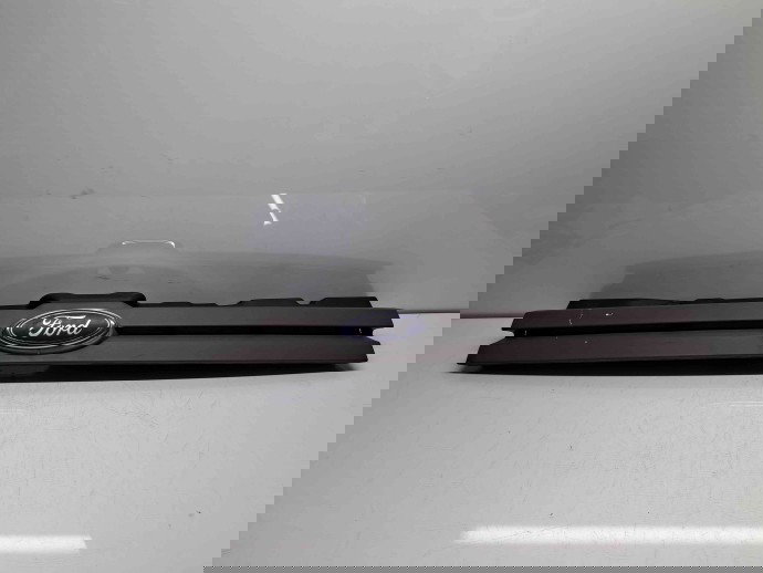 Grila bara fata Ford Transit Connect (TC7) [Fabr 2002-2013] 7T16-8350-AE