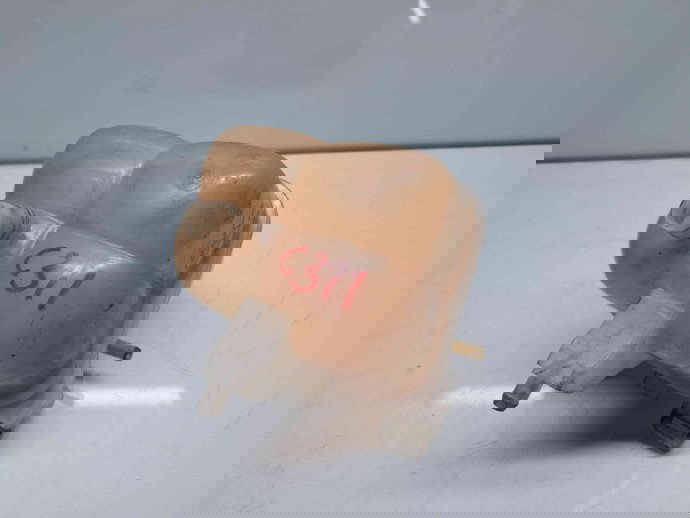 Vas expansiune MINI Cooper (R56) [Fabr 2006-2014] 17137823626-02