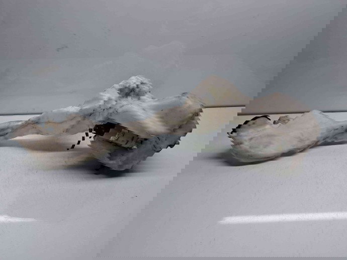  Vas lichid parbriz MINI Cooper (R56) [Fabr 2006-2014] 160817-00 AF