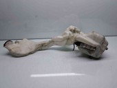  Vas lichid parbriz MINI Cooper (R56) [Fabr 2006-2014] 160817-00 AF