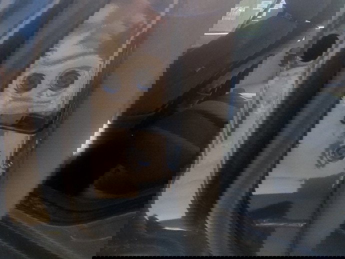 Broasca usa stanga spate Ford Focus 2 (DA) [Fabr 2004-2012] 1.8 TDCI KKDA 85KW / 117CP