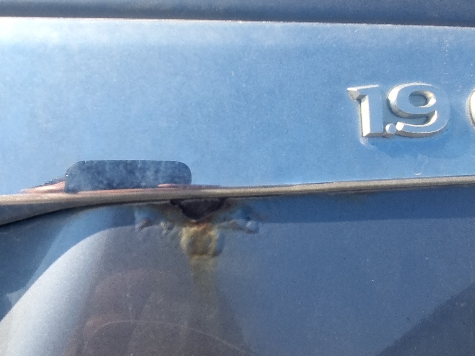 Haion Opel Astra H [Fabr 2004-2009] 1.9 CDTI Z19DTH 110 KW / 150 CP - imagine 2