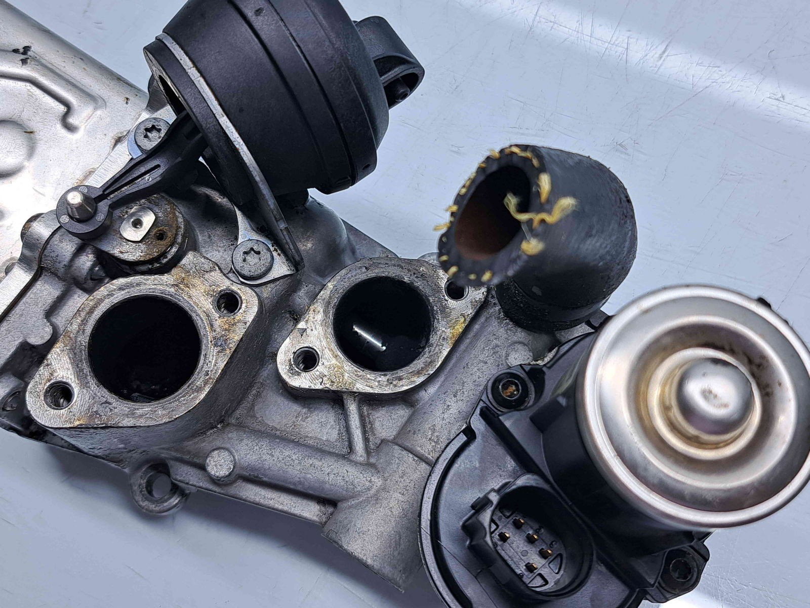 Racitor gaze Skoda Octavia 2 (1Z3) [Fabr 2004-2013] 03L131512BL 2.0 TDI CFFB 103KW / 140CP - imagine 3