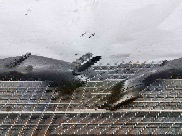 Tub intercooler Skoda Fabia 2 Combi (5J, 545) [Fabr 2007-2014] 6Q0129654AM 1.9 TDI BSW 1.9 TDI BSW 77KW / 105CP