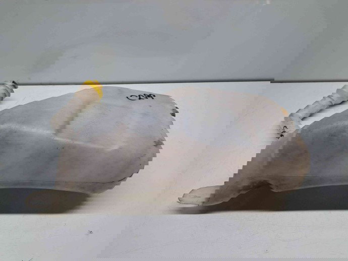  Vas lichid parbriz Renault Scenic 3 [Fabr 2009-2015] 289100014R