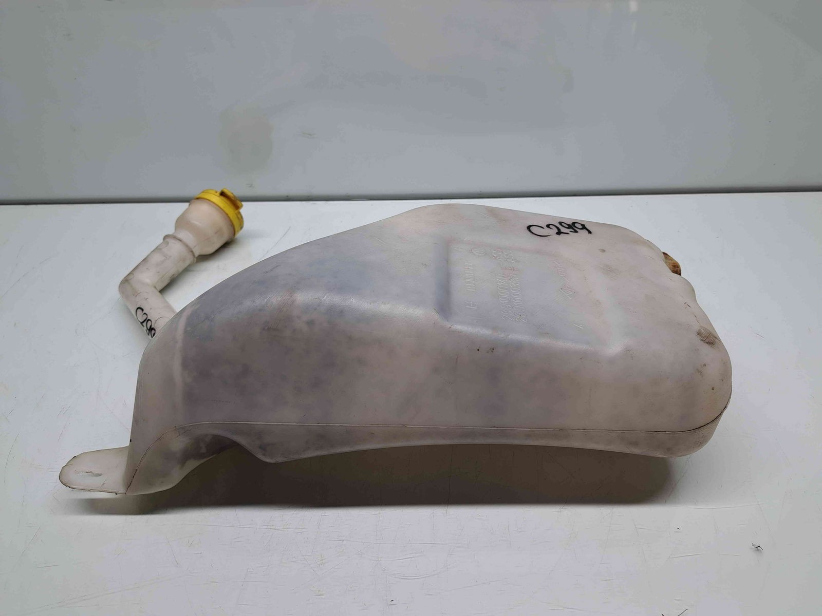 Vas lichid parbriz Renault Scenic 3 [Fabr 2009-2015] 289100014R - imagine 1